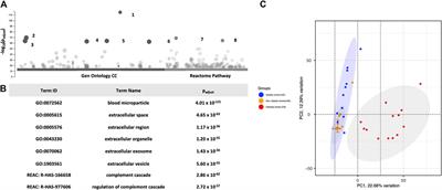 Mass spectrometry-based proteomic profiling of extracellular vesicle proteins in diabetic and non-diabetic ischemic stroke patients: a case-control study